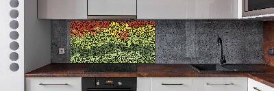 Keuken achterwand Kleurrijke golven