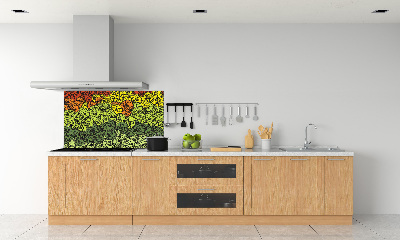 Keuken achterwand Kleurrijke golven