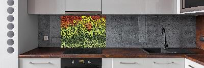 Keuken achterwand Kleurrijke golven