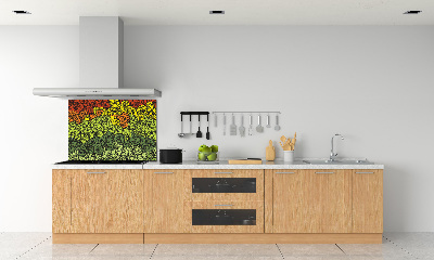 Keuken achterwand Kleurrijke golven