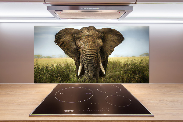 Spatplaat keuken Olifant op de savanne