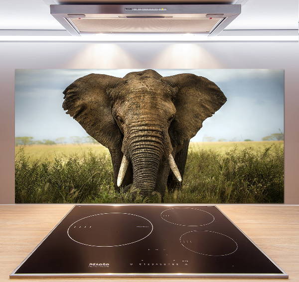 Spatplaat keuken Olifant op de savanne