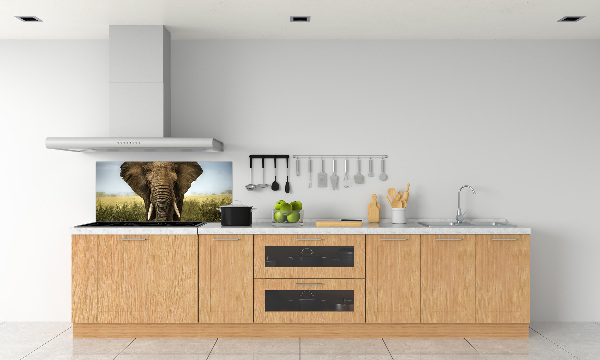 Spatplaat keuken Olifant op de savanne