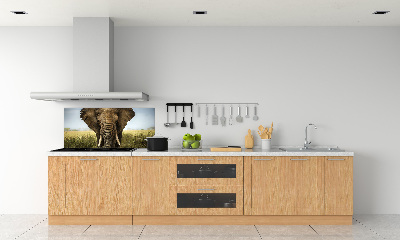 Spatplaat keuken Olifant op de savanne