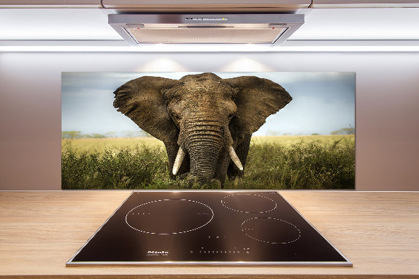 Spatplaat keuken Olifant op de savanne