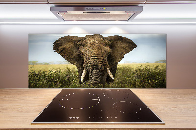 Spatplaat keuken Olifant op de savanne