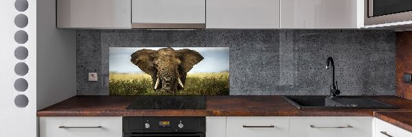 Spatplaat keuken Olifant op de savanne
