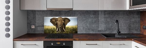 Spatplaat keuken Olifant op de savanne