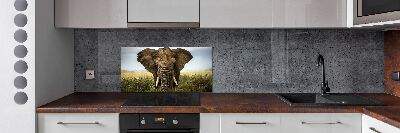 Spatplaat keuken Olifant op de savanne
