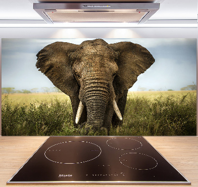 Spatplaat keuken Olifant op de savanne