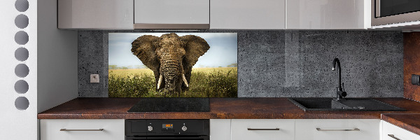 Spatplaat keuken Olifant op de savanne