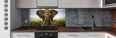 Spatplaat keuken Olifant op de savanne