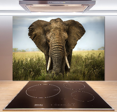 Spatplaat keuken Olifant op de savanne