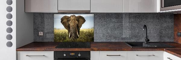 Spatplaat keuken Olifant op de savanne