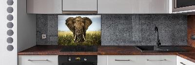 Spatplaat keuken Olifant op de savanne