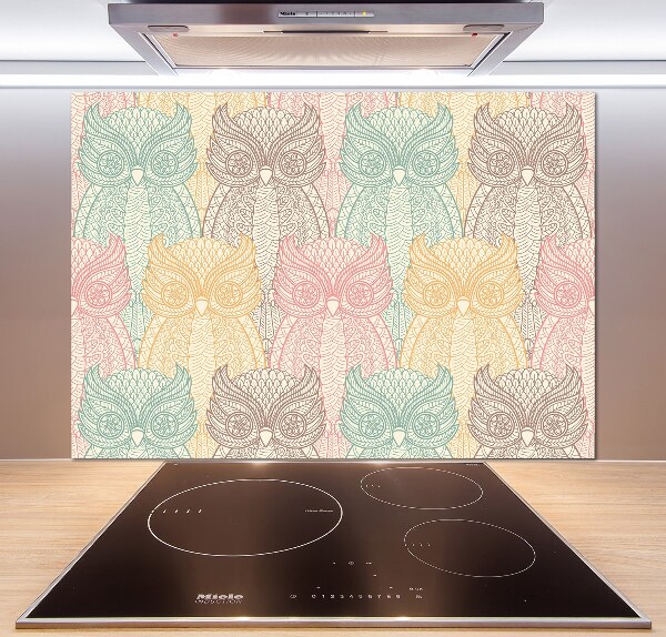 Glazen achterwand keuken Uilen