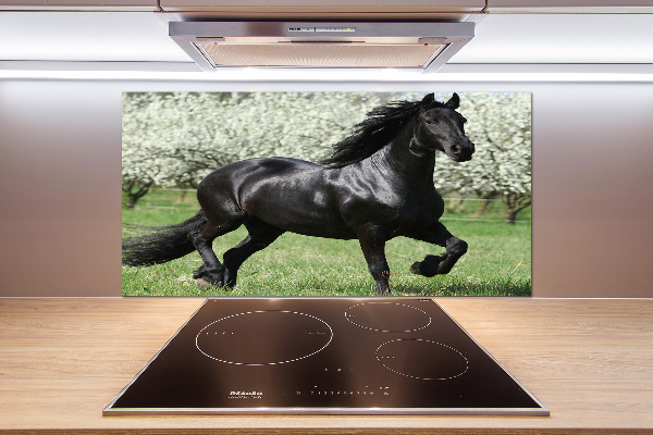 Keuken achterwand Zwarte paardenbloemen