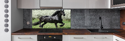 Keuken achterwand Zwarte paardenbloemen