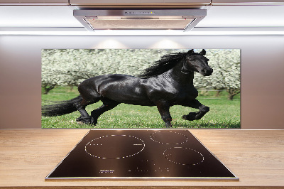 Keuken achterwand Zwarte paardenbloemen