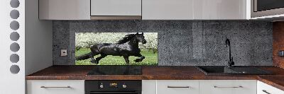 Keuken achterwand Zwarte paardenbloemen
