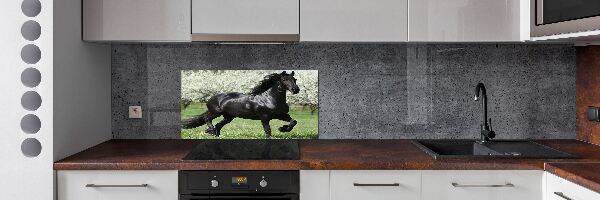 Keuken achterwand Zwarte paardenbloemen