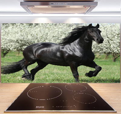 Keuken achterwand Zwarte paardenbloemen