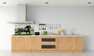 Keuken achterwand Zwarte paardenbloemen