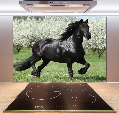 Keuken achterwand Zwarte paardenbloemen