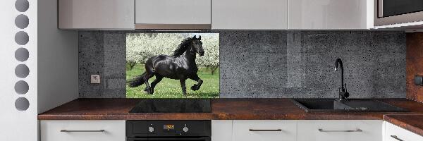 Keuken achterwand Zwarte paardenbloemen