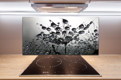 Panel do kuchni Nasiona dmuchawca