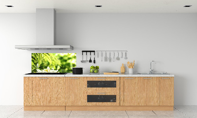 Keuken achterwand Waterlelie