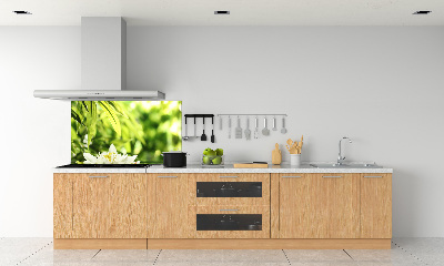 Keuken achterwand Waterlelie