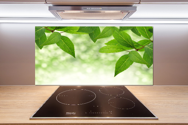 Glazen achterwand keuken Groene bladeren