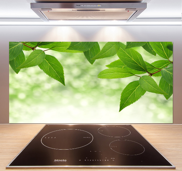 Glazen achterwand keuken Groene bladeren