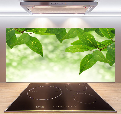 Glazen achterwand keuken Groene bladeren