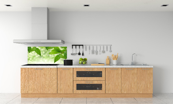 Glazen achterwand keuken Groene bladeren