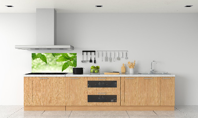 Glazen achterwand keuken Groene bladeren