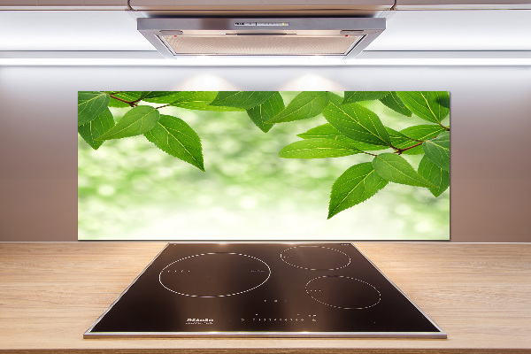 Glazen achterwand keuken Groene bladeren