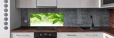 Glazen achterwand keuken Groene bladeren