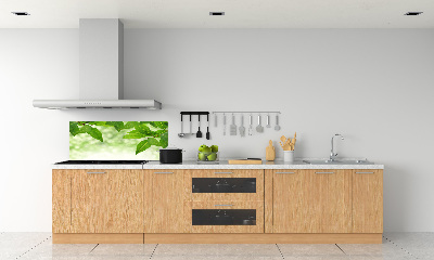 Glazen achterwand keuken Groene bladeren