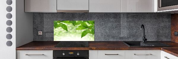 Glazen achterwand keuken Groene bladeren