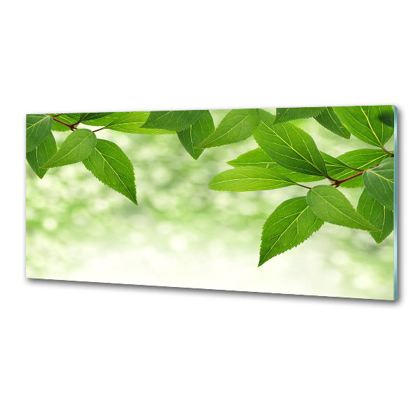 Glazen achterwand keuken Groene bladeren