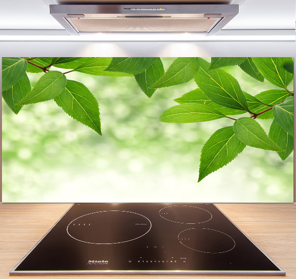 Glazen achterwand keuken Groene bladeren