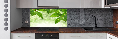 Glazen achterwand keuken Groene bladeren