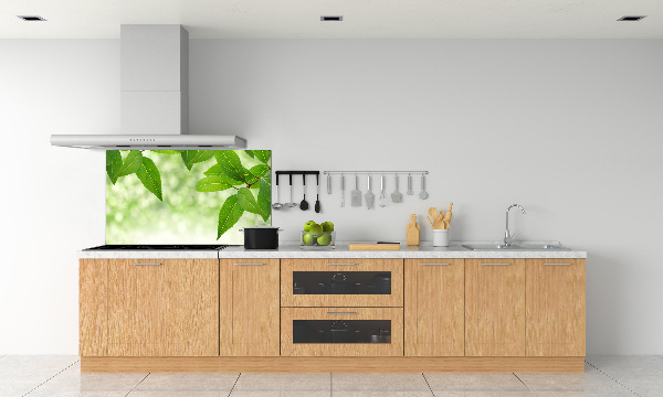 Glazen achterwand keuken Groene bladeren