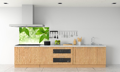 Glazen achterwand keuken Groene bladeren