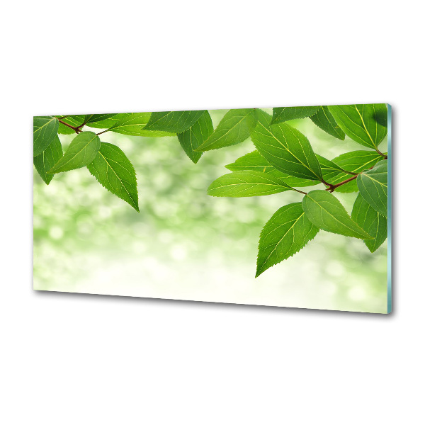 Glazen achterwand keuken Groene bladeren