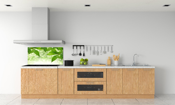 Glazen achterwand keuken Groene bladeren