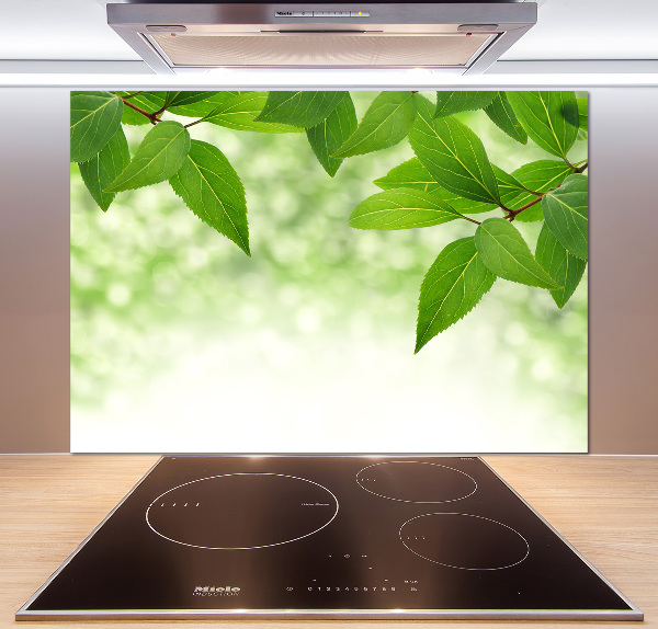 Glazen achterwand keuken Groene bladeren