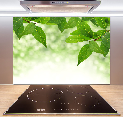 Glazen achterwand keuken Groene bladeren